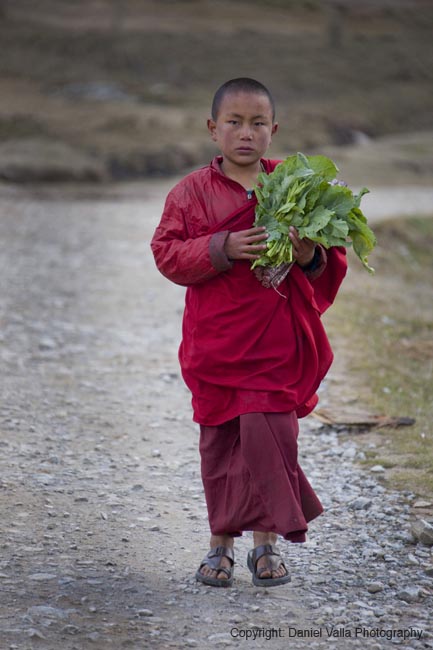 102-92162_Bhutan-gantey